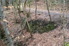 Lasgarn Railroad embankment, March 2009